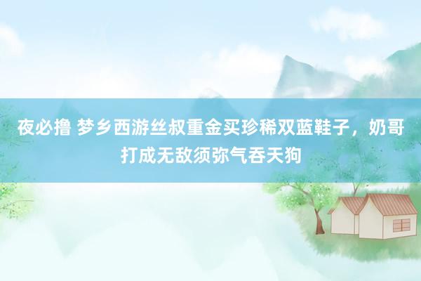 夜必撸 梦乡西游丝叔重金买珍稀双蓝鞋子，奶哥打成无敌须弥气吞天狗