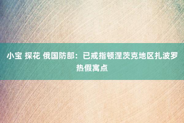 小宝 探花 俄国防部：已戒指顿涅茨克地区扎波罗热假寓点