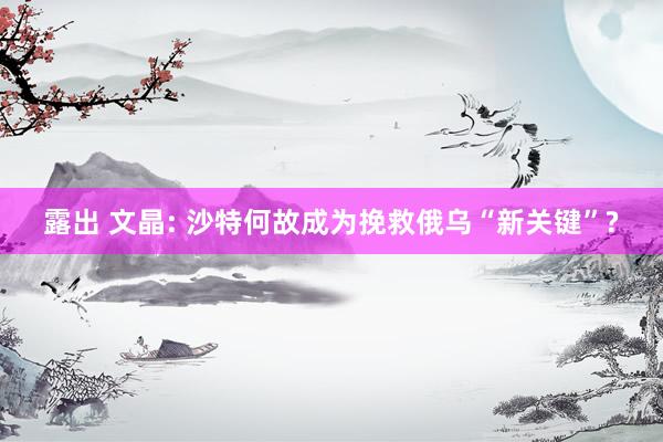 露出 文晶: 沙特何故成为挽救俄乌“新关键”?
