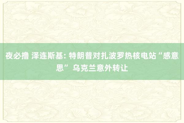 夜必撸 泽连斯基: 特朗普对扎波罗热核电站“感意思” 乌克兰意外转让