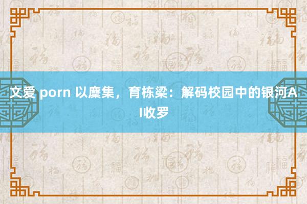 文爱 porn 以麇集，育栋梁：解码校园中的银河AI收罗